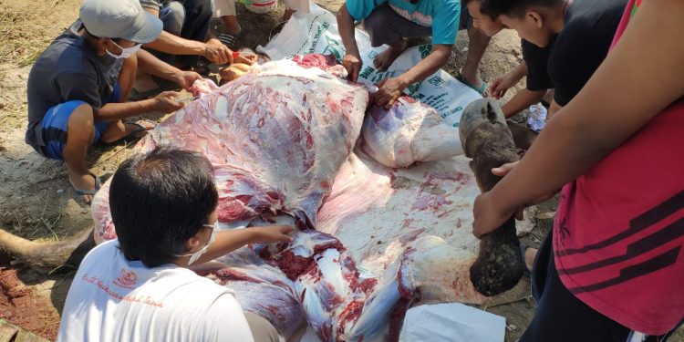 Penyembelihan hewan kurban di gelar DPW LDII Banten